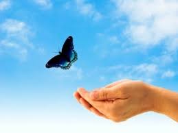 Life_Hand releasing butterfly